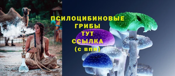 mdma Богородицк